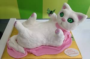 Cat - Birthday Cakes