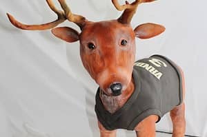 Deer - Special Cakes