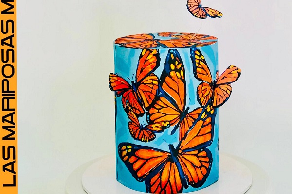 Mariposas Monarca Classes