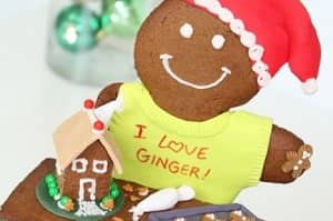Ginger Christmas Cake